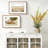 Picture Frame Wall Set with Polished Plexiglass-1831817293-1831817289