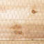 Samuel Alexander Metal Border Fencing-113616119