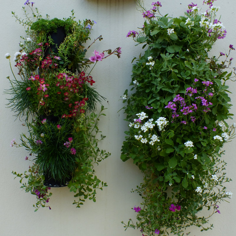 Wall Planter
