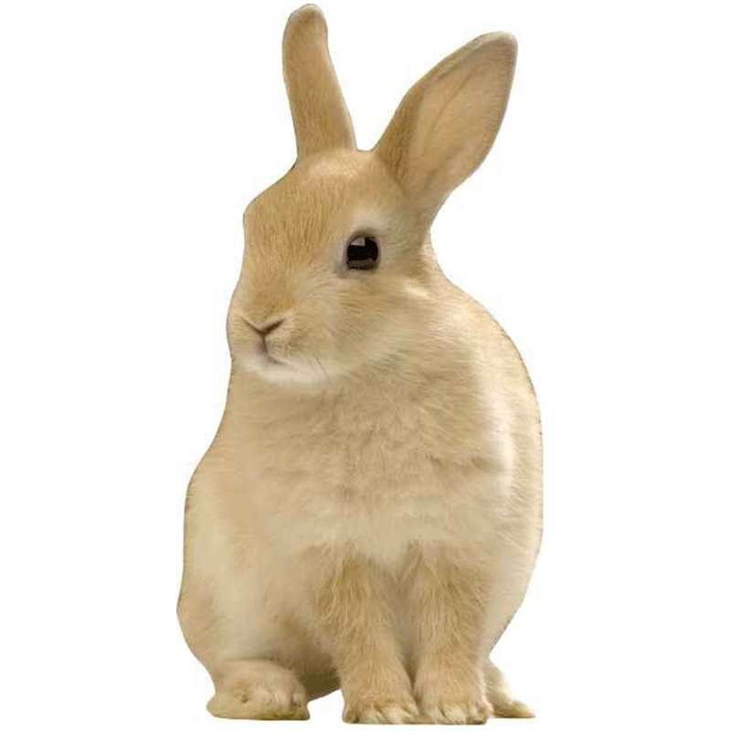 Adhésif décoratif lapin assis, H 24 po x l 12 po