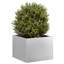 Planter-1937852853-1920376239