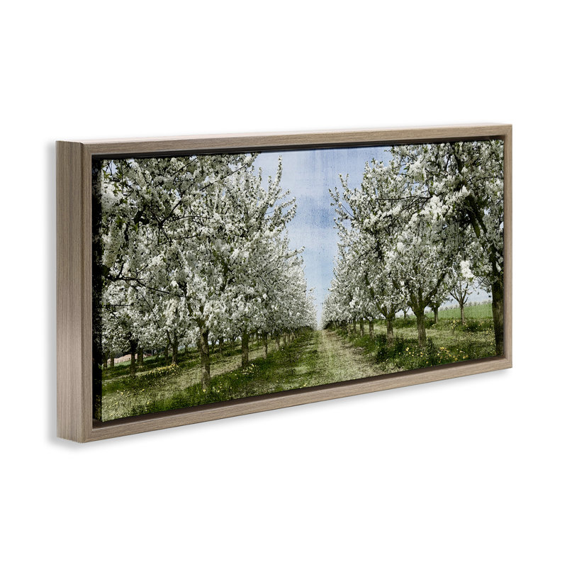 Arbre blanc en fleurs, Cadre flottant orme Montalcino, H 14 po x l 31 po