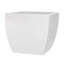 Alexy Pacifica Flower Box-589427889-589427902