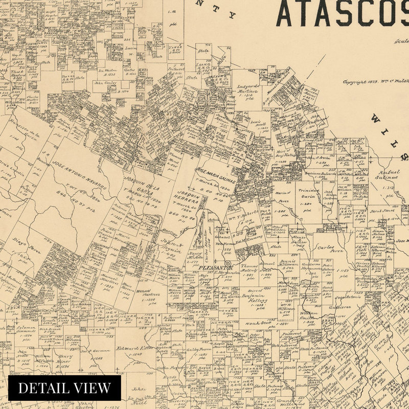 Carte du Texas, 1879, Atascosa County, l 24 po x H 24 po