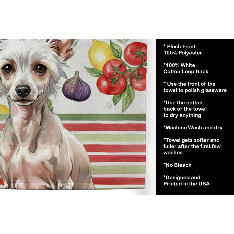 Torchon sans poils, Hairless Chinese Crested