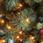 Arbre de Noël Heyden-1187257599