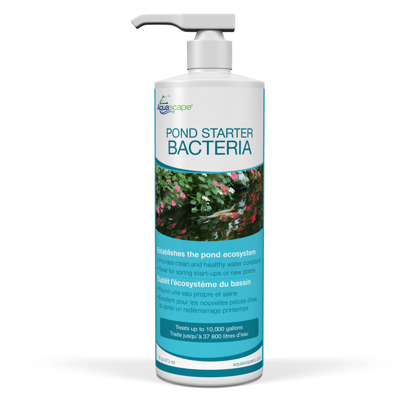 Traitement de l'eau des bactéries de l'étang