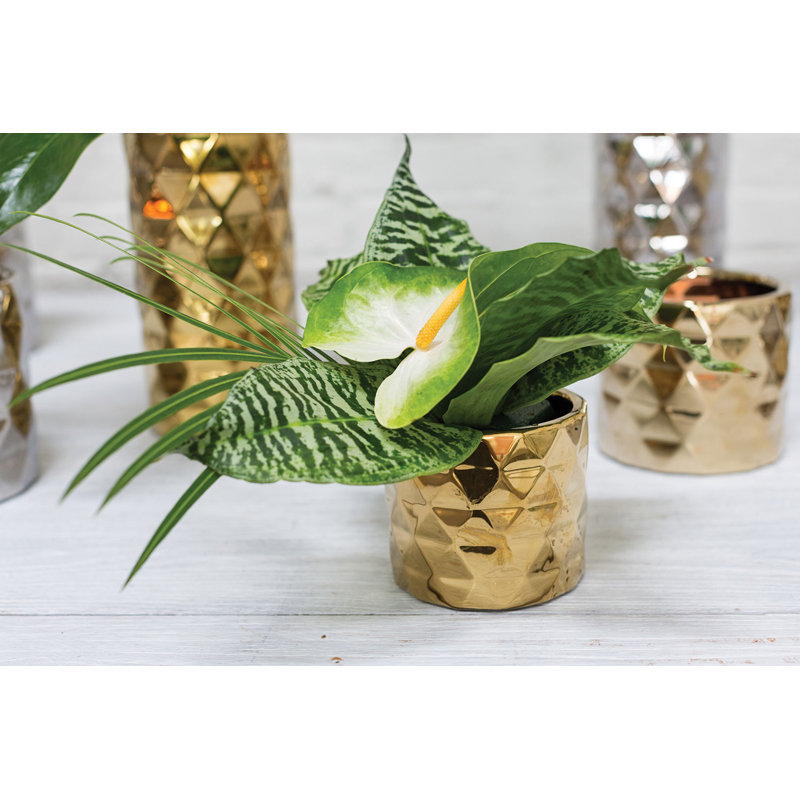 Jardinières en pot, H 4 po x l 4,75 po x P 4,75 po