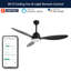 Clarra 52'' Ceiling Fan with LED Lights-2046170367