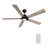 60'' Ceiling Fan with LED Lights-926586045-926586046