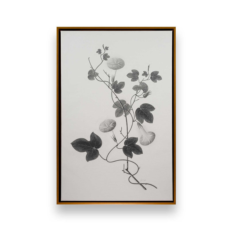 «Botanical VI» par Deborah Revell, reproduction d'art sur toile, H 18 po x l 12 po, Cadre flottant, Doré