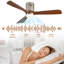 Ventilateurs de plafond légers