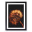 Dandelion Puff in Abstract - Picture Frame Painting Print-55491279-55491280