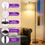 Lampe sur pied 62,2 pouces pour le salon avec télécommande