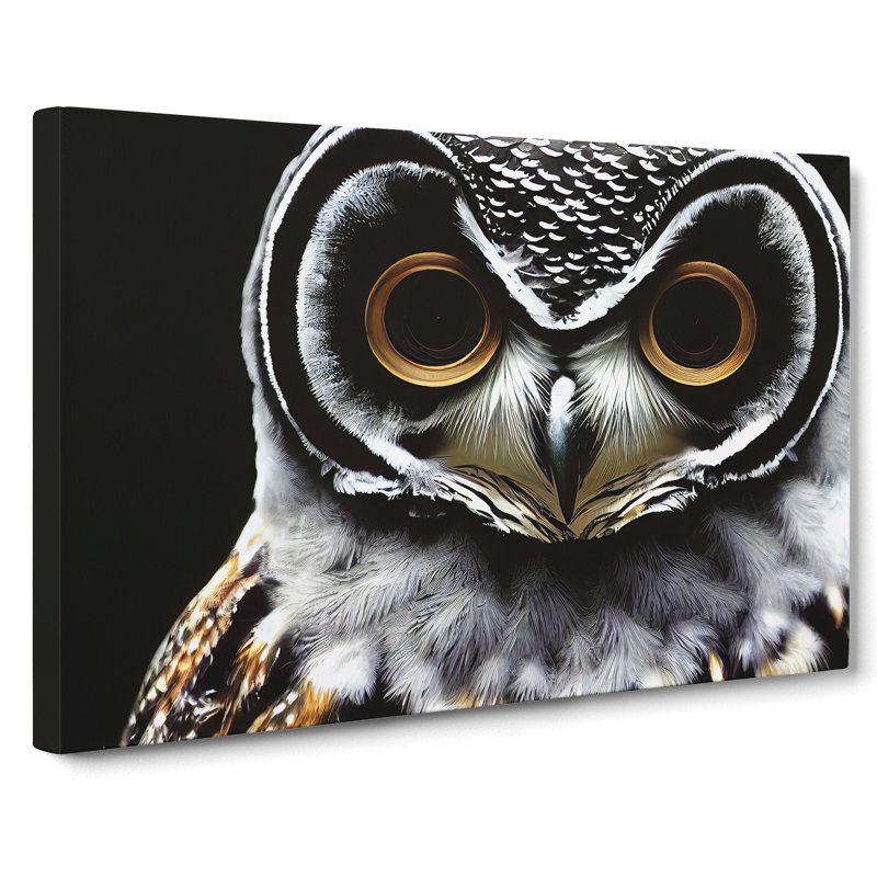 Favourable Owl - Wrapped Canvas, 35cm H x 50cm W x 3cm D