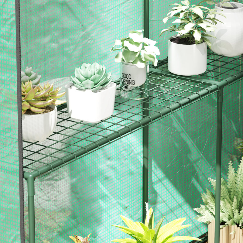 Walk-in Greenhouse 2 Tier 4 Shelves for Outdoor 6 x 4 x 6ft Green