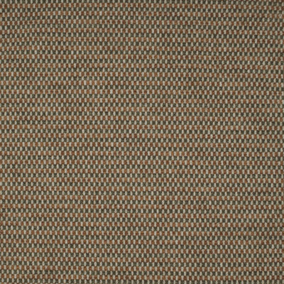 Lineage Rabble - 54" High Abrasion Rating Upholstery Fabric by the Yard