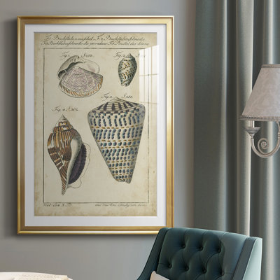 Étude de coquillage rétro II, impression sur papier