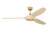 Selen Smart LED Ceiling Fan-1611855336-1611855343-1611855335