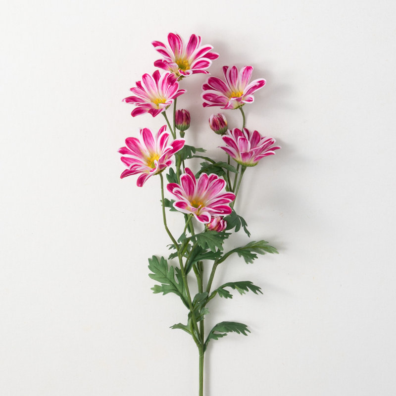 Tige de beauté 33,5 "Gazania, Rose