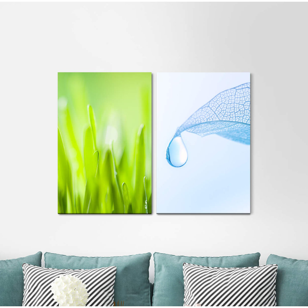 2-tlg. Leinwandbilder-Set - Fotografie „Meadow Blades of Grass Green Dropslight Blue”