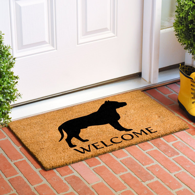 Tapis d'intérieur antidérapant Staffordshire Bull Terrier, l 17 po x L 29 po