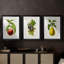 Antique Fruit V - Impression sur mesure encadrée de qualité supérieure - 3 pièces-486846575-486846545