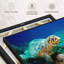 Tortue sous l'eau, impression sur toile-102859254