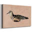 Toile tendue Feathered Friend III-Gallery-1083876092