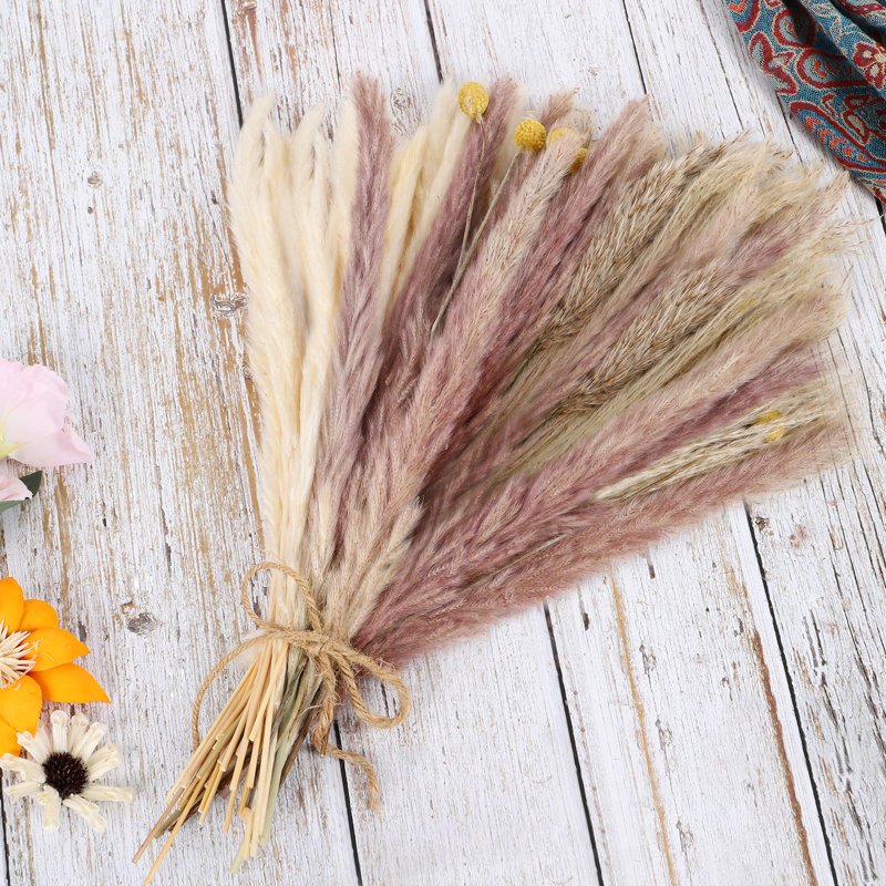 17.7 " H Faux Pampas Grass