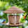 True & Tidy Hanging Hopper Bird Feeder 