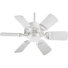 Wojtowicz Ceiling Fan