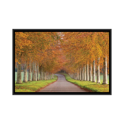 " Autumn Splendour " by Adam Burton
