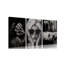 3 Piece Wrapped Canvas Print-2076578318