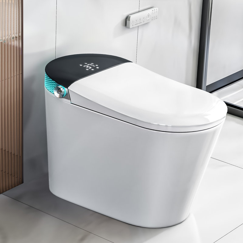 Dual-Flush Elongated Bidet Toilet (Seat Included), White/Black