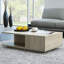 Theresa Coffee Table with Storage-34114482