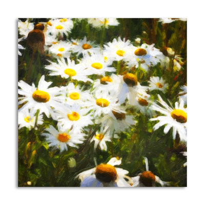 « sunlit marguerites », impression