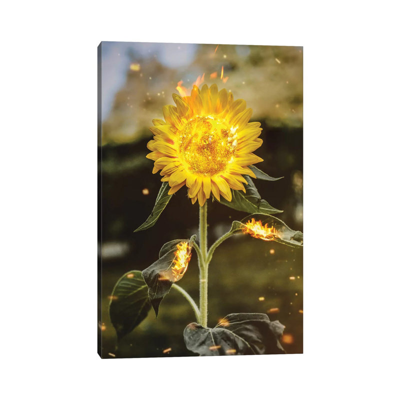 Real Sunflower by Shaun Ryken - Print on Canvas, Wrapped Canvas, 30.48cm H x 20.32cm W x 1.91cm D