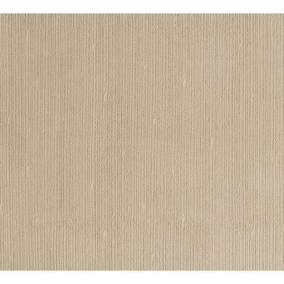 Area Rug in Beige
