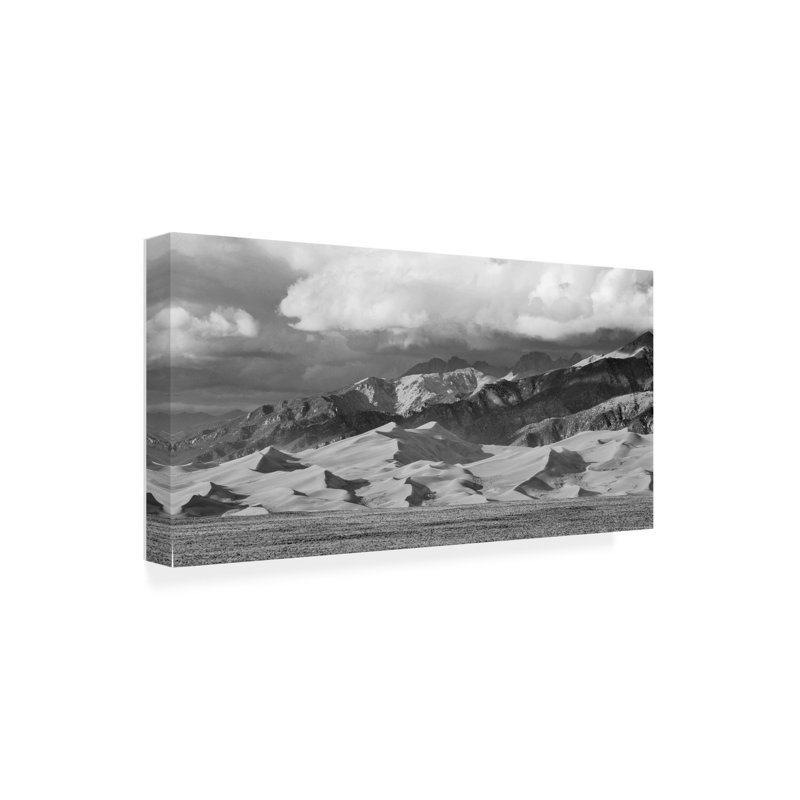 Art sur toile noir, blanc, H 10 po x l 19 po