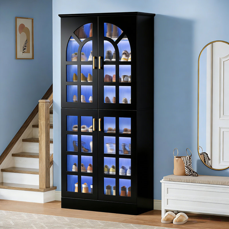 Armoire à chaussures à 8 niveaux avec portes et lumières DEL, Noir