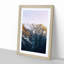 Tall Trees - Picture Frame Painting Print-55640657-55640659