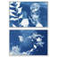 Faded Poetry Set Set by Oliver Gal-1173086329-1173086330