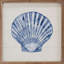 Coquille bleue 3-1734348963
