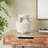 Parlier Ceramic Table Vase