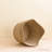 Scallop Basket-318082400