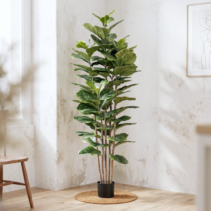 Arbre à figuier artificiel avec pot Marci 72 po H Marci, 1 paquet