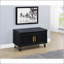 Banc de rangement 2 portes-214001065