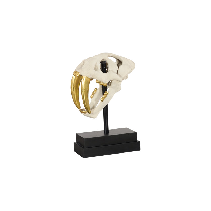 Tooth Tiger Skull, Beige
