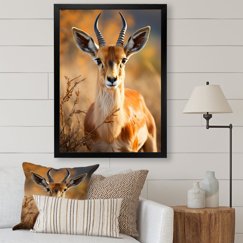 Antilope Kendon, photo I - impression, Cadre simple noir, H 32 po x l 16 po x P 1 po
